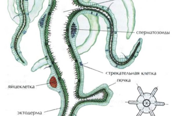 Как найти ссылку на кракен