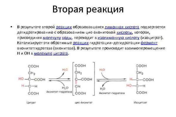 Как зайти на кракен